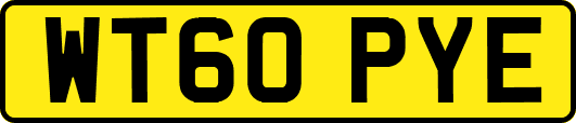 WT60PYE