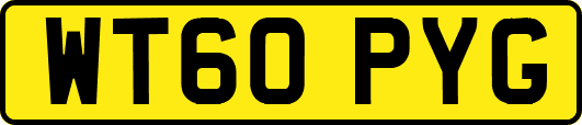 WT60PYG