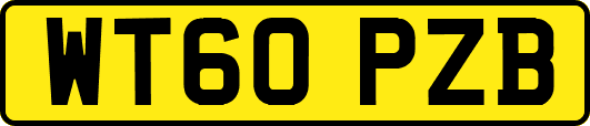 WT60PZB