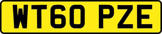 WT60PZE