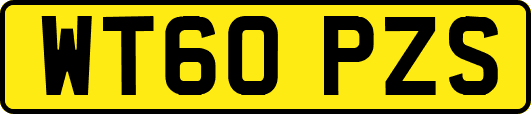 WT60PZS