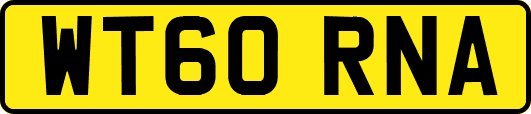 WT60RNA