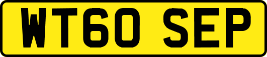 WT60SEP