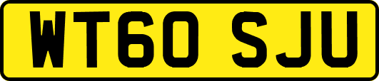 WT60SJU