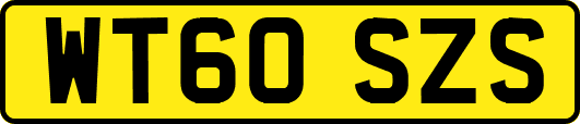 WT60SZS