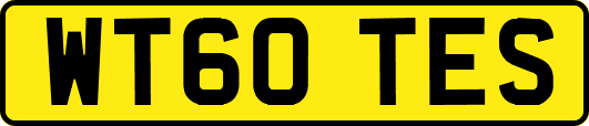 WT60TES