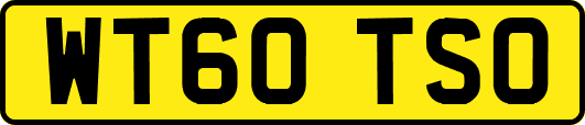 WT60TSO