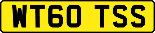 WT60TSS