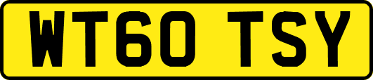 WT60TSY