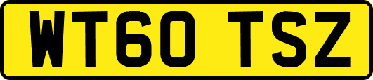 WT60TSZ