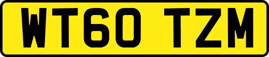WT60TZM