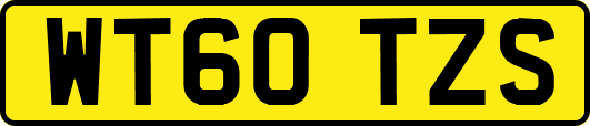 WT60TZS