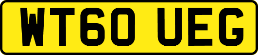 WT60UEG