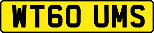 WT60UMS