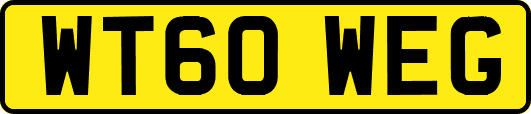 WT60WEG