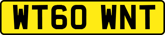 WT60WNT