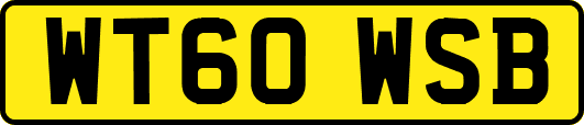 WT60WSB