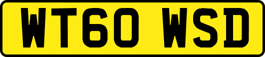 WT60WSD