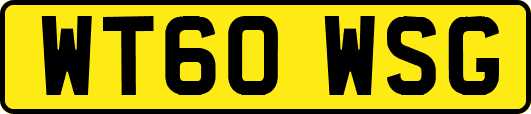 WT60WSG