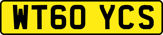 WT60YCS