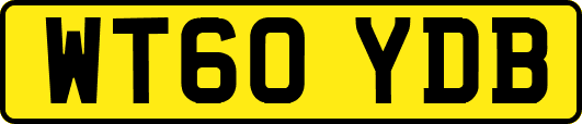 WT60YDB