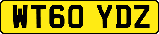 WT60YDZ