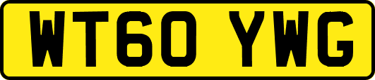 WT60YWG