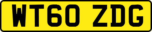 WT60ZDG
