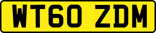 WT60ZDM