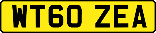WT60ZEA