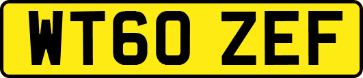 WT60ZEF