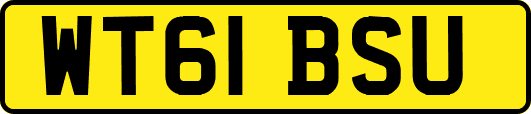 WT61BSU