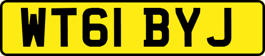 WT61BYJ