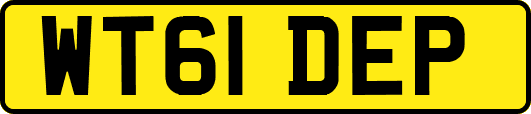 WT61DEP