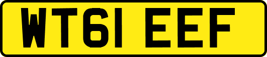 WT61EEF