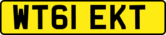 WT61EKT
