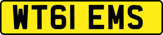 WT61EMS