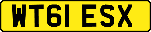 WT61ESX