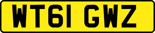 WT61GWZ