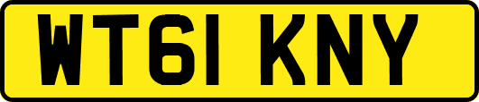 WT61KNY