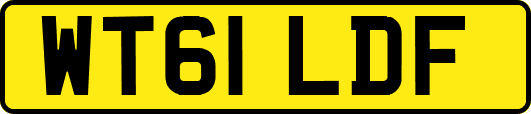 WT61LDF