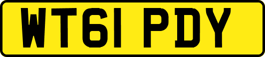 WT61PDY