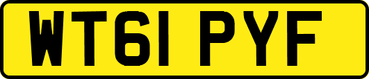 WT61PYF