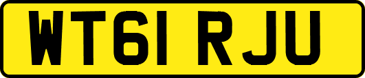 WT61RJU