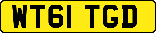 WT61TGD