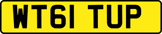 WT61TUP