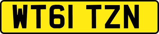 WT61TZN