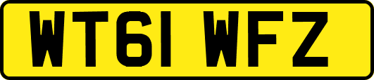 WT61WFZ