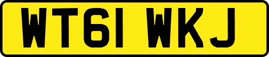 WT61WKJ