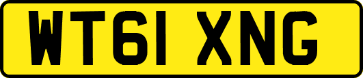 WT61XNG